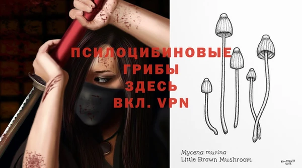 apvp Арсеньев
