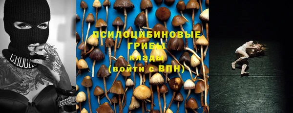 не бодяженный Медногорск