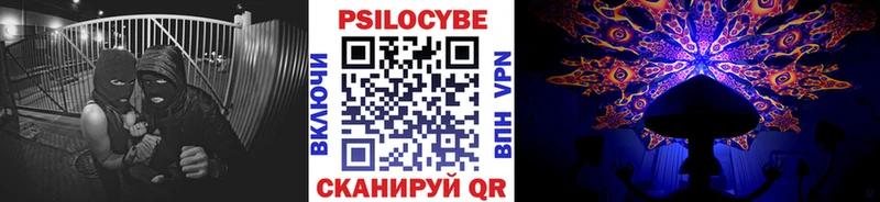 что такое   Северобайкальск  omg ONION  Галлюциногенные грибы Psilocybe 